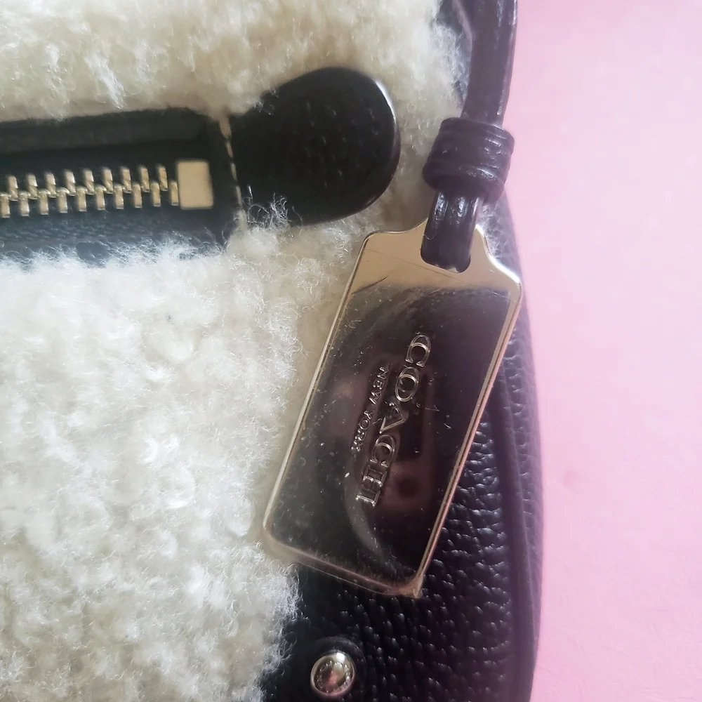Coach Small Rhyder Pochette Shearling Crossbody Bag Wool Pebbled Leather - Picture 7 of 12